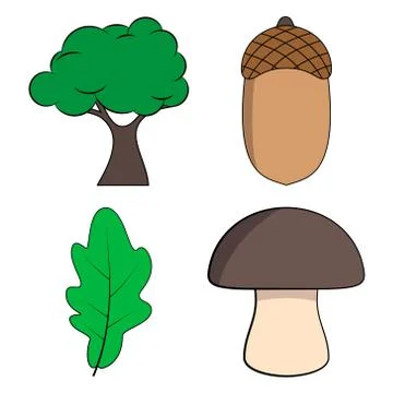 Oak Tree, Oak Leaf, Acorn and Mushroom Vector Illustration Stock Illustration