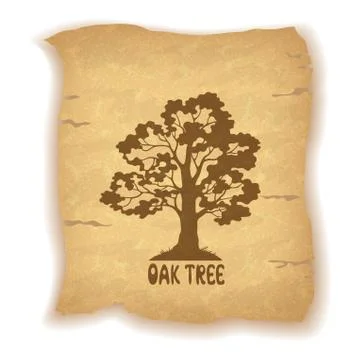 Oak Tree on Old Paper Stock Illustration