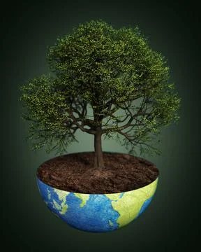 Oak tree planted on a half globe. Sustainability concept. 3D illustration Stock Illustration