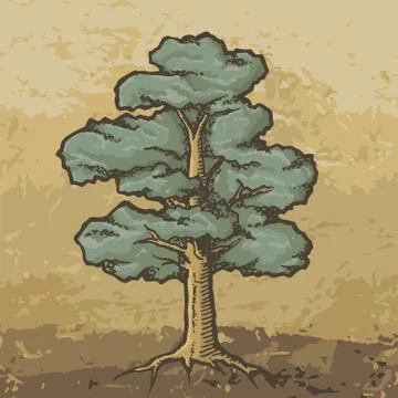 Oak tree sketch Stock Illustration