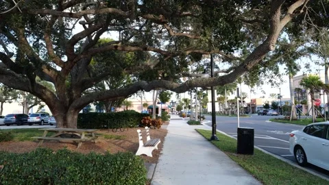 Oak Tree Street Scene Stock Footage 156197606
