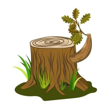Oak tree stump vector with oak acorn and leaves branch on it. Vector image is Stock-Illustration