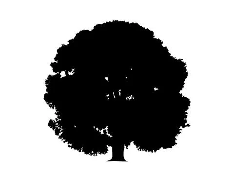 Oak tree symbol Stock-Illustration