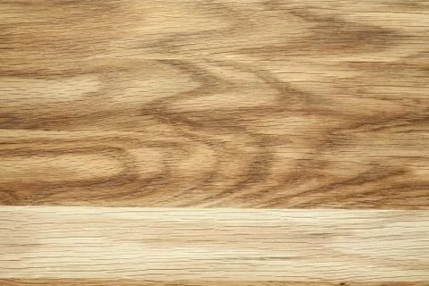 Oak tree texture Stock Photos