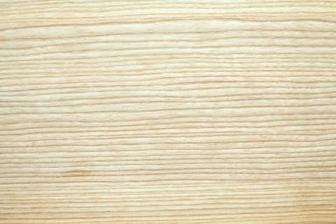 Oak tree texture Stock Photos