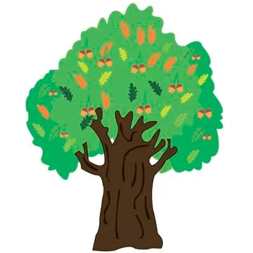 Oak tree on a white background Stock Illustration