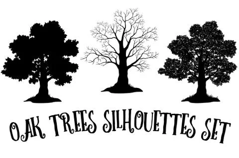 Oak Trees Black Silhouettes Stock Illustration
