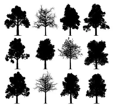 Oak trees Stock Illustration