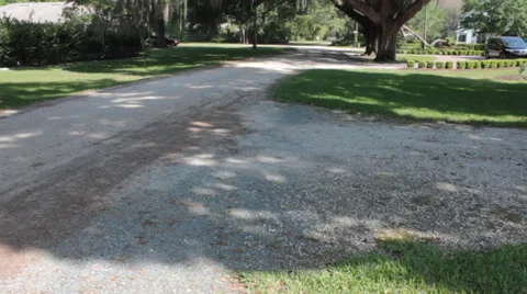 Oak trees with spanish moss Stock Footage 37249266
