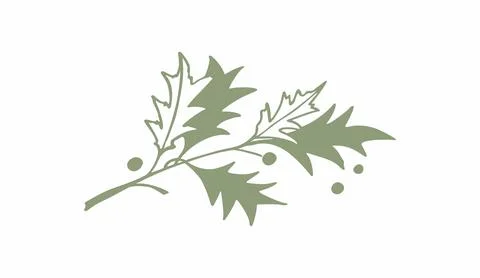 Oak twig Stock Illustration