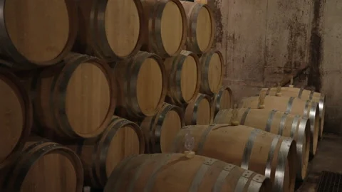 Oak White Wine Barrels fermentation in cellar slow motion 3 Stock Footage 169568677