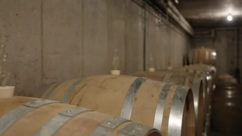 Oak White Wine Barrels fermentation in cellar slow motion 2 Stock Footage 169568858