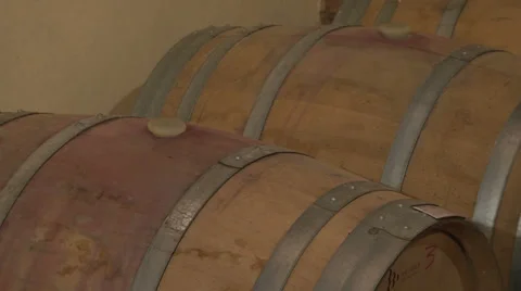 Oak WIne Barrels Stock Footage 29161418