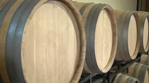 Oak WIne Barrels Stock Footage 29162783