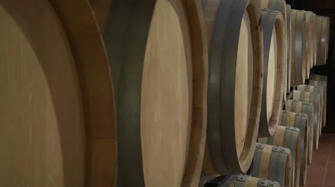 Oak WIne Barrels Stock Footage 29164525