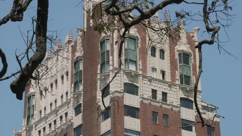 Oakland Old Building with Tree Stock Footage 93749323