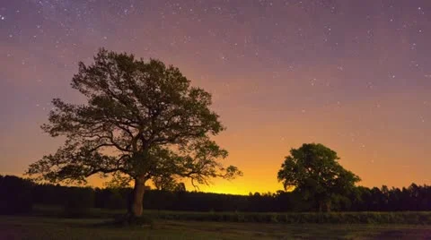 Oaks at night Stock Footage 11525540
