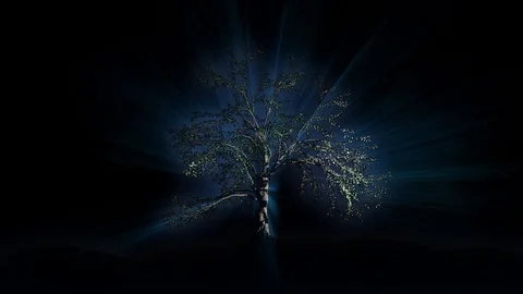 Oaktree grow lightbeamfx hd 動画素材 122342547