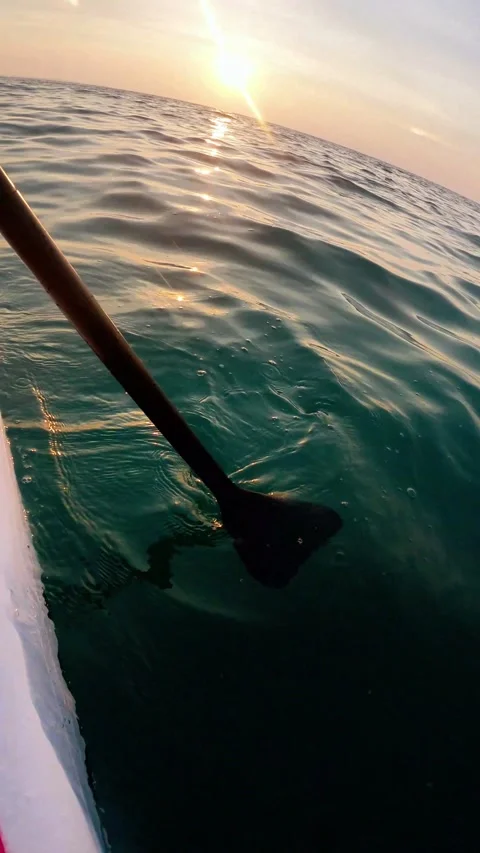An oar dives into the water while hiking on a stand-up paddle board at sunset Stock Footage 332847541