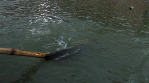An oar paddling on the Ganges River Video stock 41239903