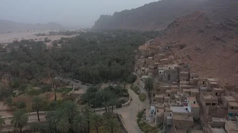 Oases of the city of Djanet Video stock 289325946