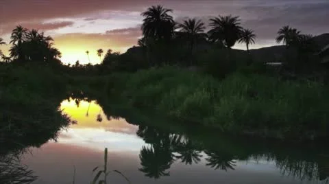 Oasi in mulege Stock Footage