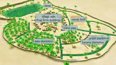 Oasis 3D animation Stock Footage 322520609