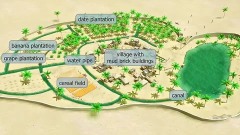 Oasis 3D view Stock Footage 322520370