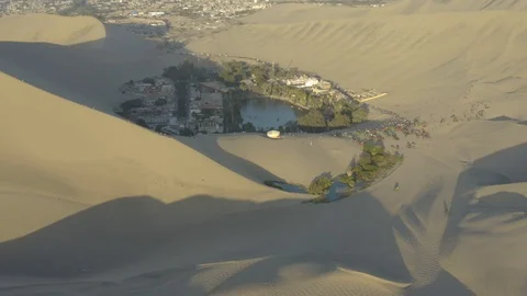 Oasis behind dunes of a desert Stock Footage 115203325