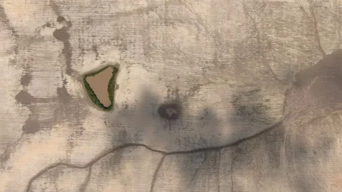 An oasis in the desert. Empty land. Lake with green plants. Aerial shooting. Stock Footage 115259233