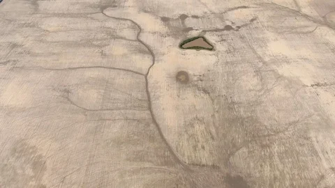 An oasis in the desert. Empty land. Lake with green plants. Aerial shooting. Stock Footage 115259249