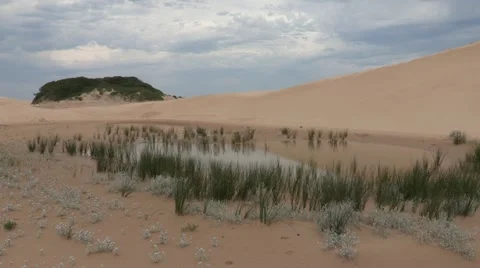 Oasis in desert Stock Footage 11132514
