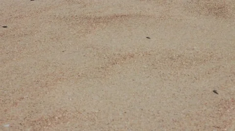 Oasis in the desert Stock Footage 56162156