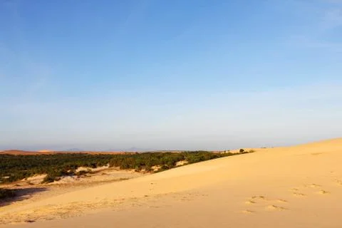 Oasis in desert Stock Photos