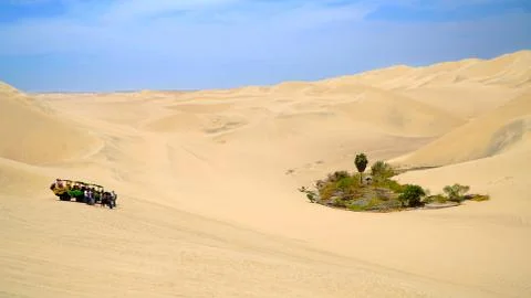Oasis In Desert Stock Photos