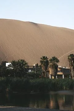 Oasis in a Desert Stock Photos