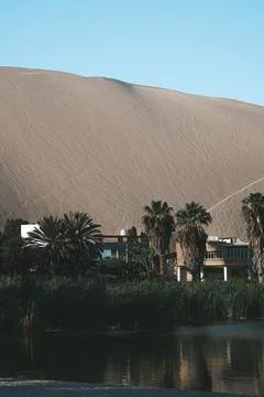 Oasis in a Desert Stock Photos