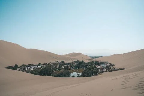 Oasis in a Desert Stock Photos