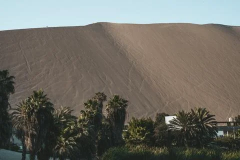 Oasis in a Desert Stock Photos
