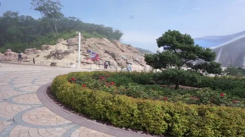 An oasis in the fog Vídeo Stock 77900762