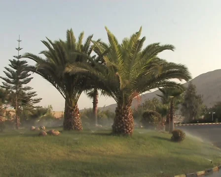 Oasis Video stock 1091809