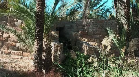 Oasis Stockbeeldmateriaal 8949011