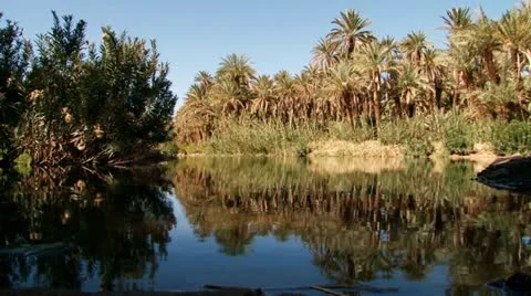 Oasis Video stock 10854894