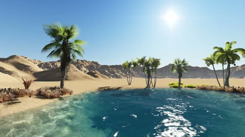 Oasis Video stock 40592003