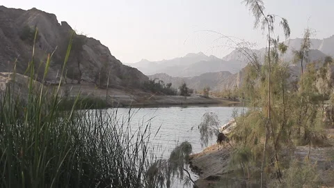 Oasis Stock Footage 201946982