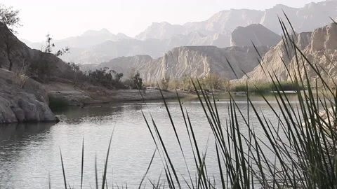 Oasis Stock Footage 201947840