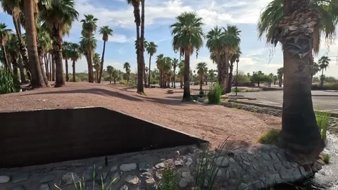 Oasis Video stock 267307598