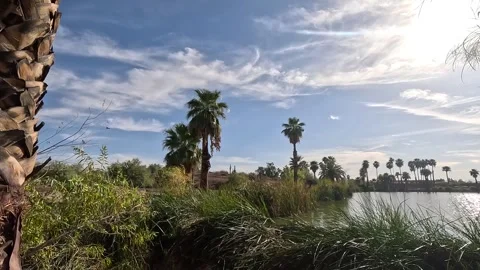 Oasis  Video stock 267322693