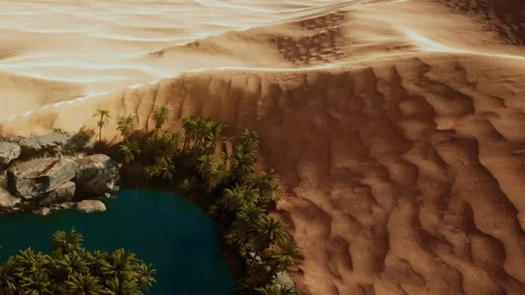 Oasis forms in desert with palm trees and water surrounded by sands 스톡 동영상 345011590