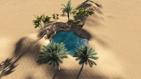 Oasis Stock Illustration